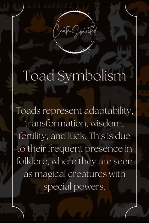 Toad Symbolism and Spiritual Meaning