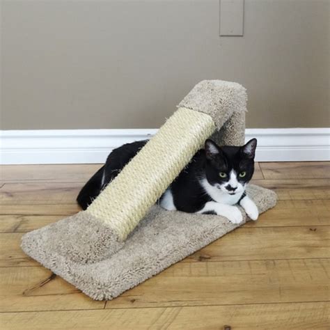 New Cat Condos Tilted Scratching Post - Free Shipping On Orders Over ...