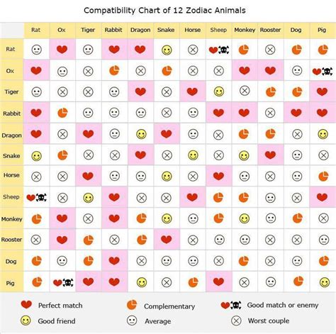 Rat And Dog Zodiac Compatibility