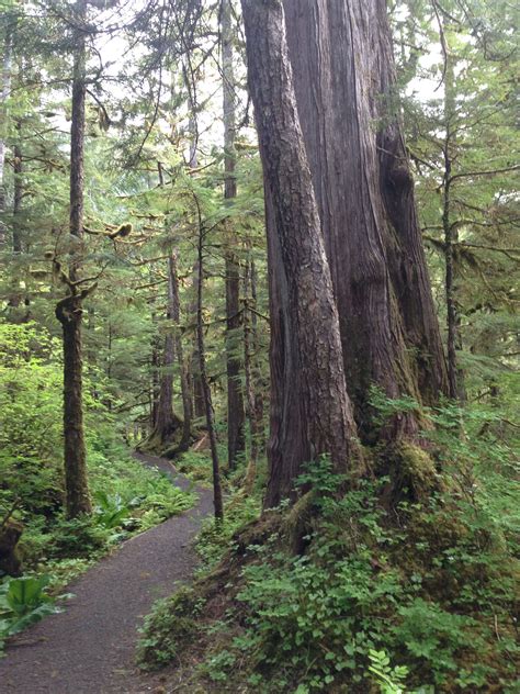 Fantastic nature trails in Ketchikan | Tongass national forest, Nature ...