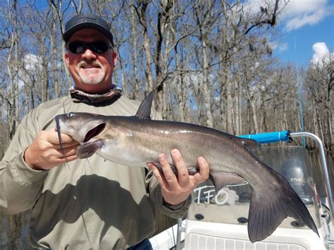 Neuse River Fishing Report - Feburary 22 2018 | PointClickFish.com