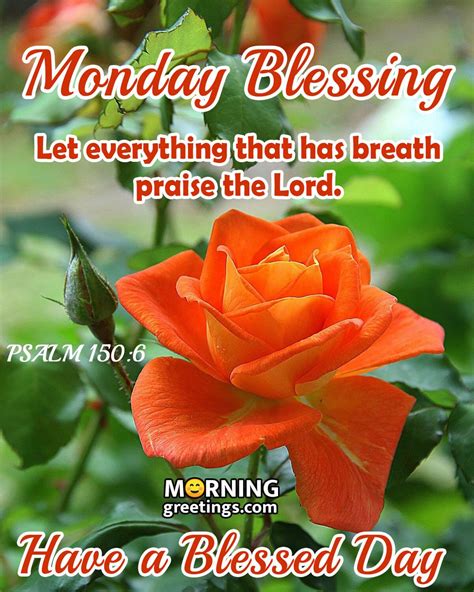 30 Amazing Monday Morning Blessings - Morning Greetings – Morning ...