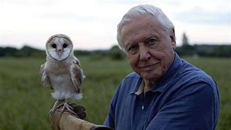 New David Attenborough 2024 - Minna Margery