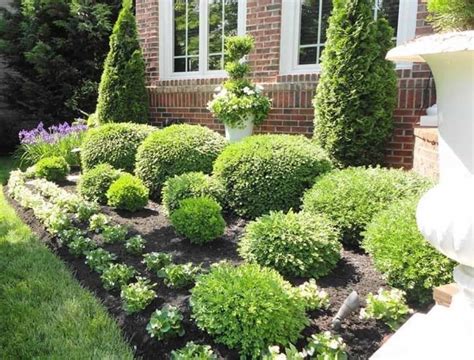 Front Yard With Evergreen Shrubs : Choosing The Best Garden Shrubs | Landscaping shrubs, House ...