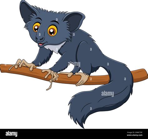 Cute Aye-Aye Madagascar animal cartoon vector illustration Stock Vector Image & Art - Alamy