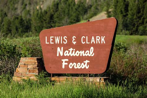 Lewis and Clark National Forest Photograph by Todd Klassy - Fine Art ...