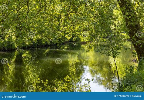 Eure River stock image. Image of forest, light, relax - 174786799