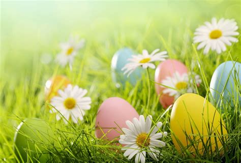 Easter And Spring Wallpapers - Wallpaper Cave