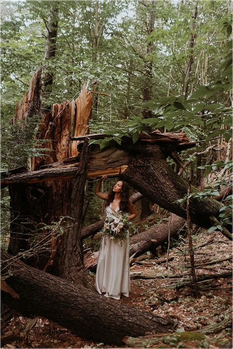 Josias River Farm Bridal Inspiration | Cape Neddick, Maine – Katelyn ...