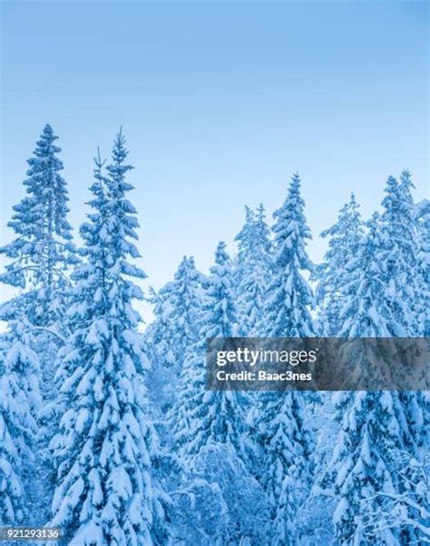 510 Winter In Drammen Stock Photos, High-Res Pictures, and Images - Getty Images