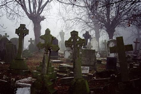 Visite nocturne en bus du cimetière de la Nouvelle-Orléans - Hellotickets