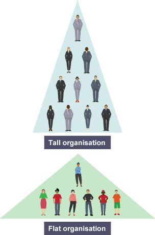 Tall and flat organisations - Structures - Higher Business management Revision - BBC Bitesize