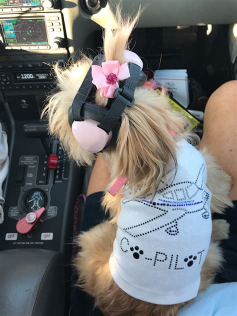 Supporting the Pilots N Paws Program – Attraction