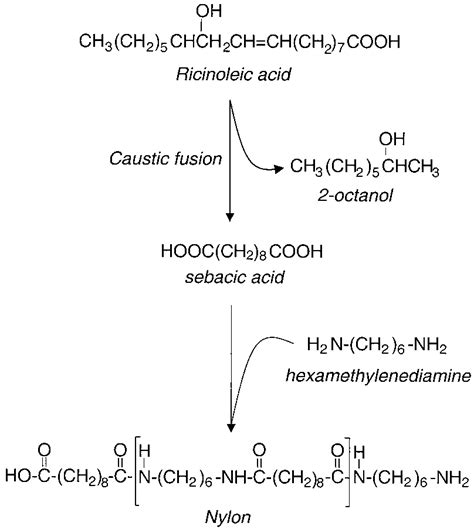 Production of nylon 6,10 from ricinoleic acid, the principal component... | Download Scientific ...