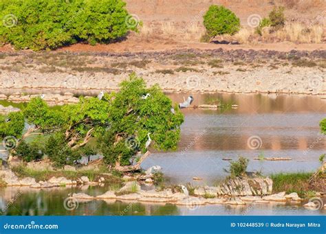 Panna River and Rivebed at Panna National Park, Madhya Pradesh, India ...