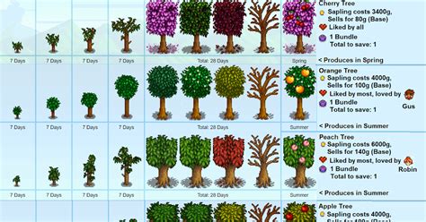 Stardew Valley Fruit Trees Not Producing / Fruit saplings will grow ...