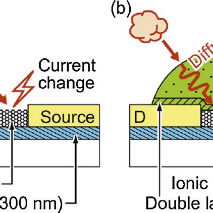 (PDF) Graphene-Based Gas Sensors