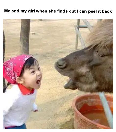 Girl Yelling at Yak Memes - Piñata Farms - The best meme generator and meme maker for video ...