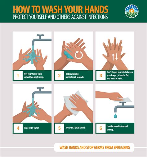 How to Wash Your Hands (Infographic) | Genesis Healthcare System