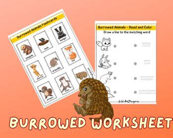 Collecting Burrowing Animals Activities Burrowed Animals worksheets Coloring