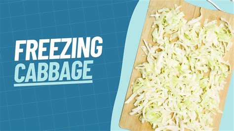 How to Freeze Cabbage | Our Method for Freezing Cabbage - YouTube