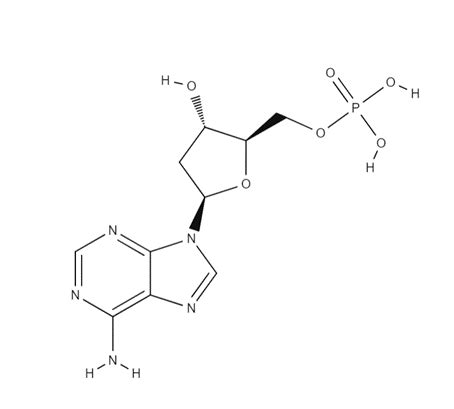 Describe a nucleotide. Draw the structural formula for deoxy | Quizlet