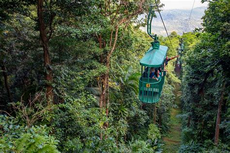 St. Lucia Aerial Tram Tour at Rainforest Adventures - TourMega