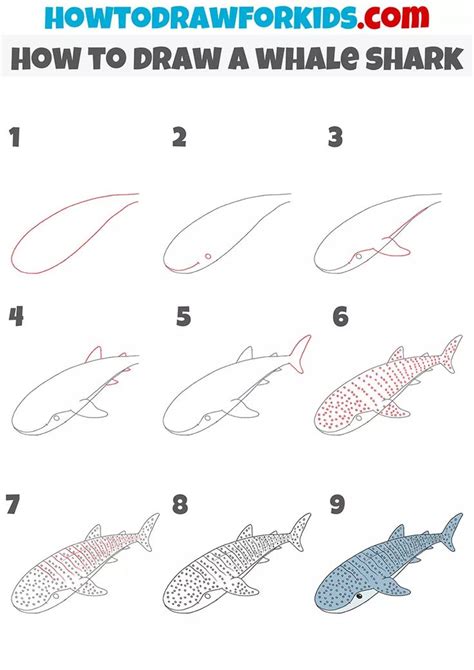 How to Draw a Whale Shark - Easy Drawing Tutorial For Kids | Whale ...