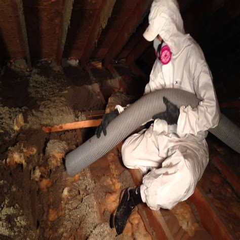 Attic Insulation Removal – Attic 911 Services