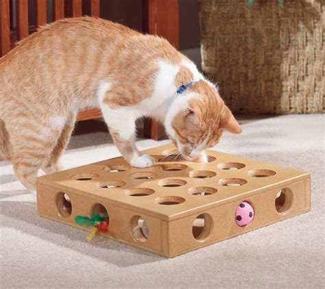 10 Best Cat Toys for Bored Cats to Keep Them Entertained - Pets Carter