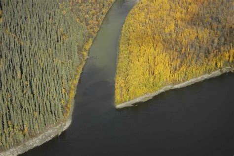 Image libre: méandre, rivière, aérien, photographie