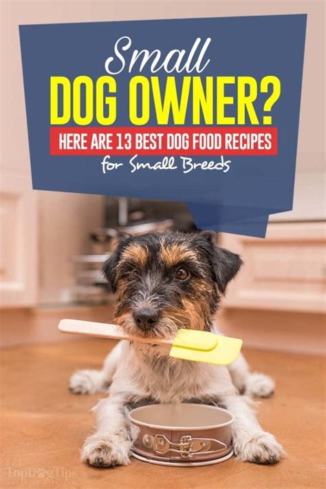 13 Homemade Dog Food Recipes for Small Dogs – Top Dog Tips