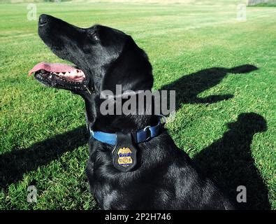 Holy Cross Church in Federal Hill, Baltimore, Maryland Stock Photo - Alamy