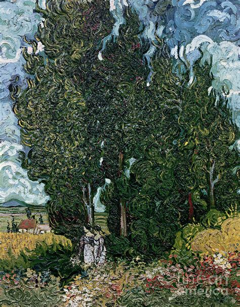 The cypresses Painting by Vincent van Gogh - Pixels