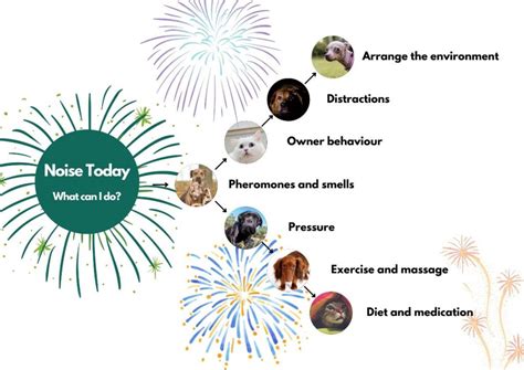 How to prepare your pets for fireworks | London Veterinary Surgeries