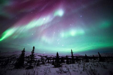 Northern Lights, Denali National Park, Alaska. Photo by Dan Leifheit. | Northern lights ...