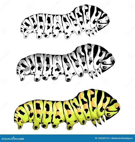 Caterpillar Realistic Isolated Vector Illustration | CartoonDealer.com #46380588