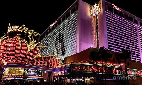 Flamingo Las Vegas Hotel and Casino in Las Vegas Nevada Photograph by David Oppenheimer