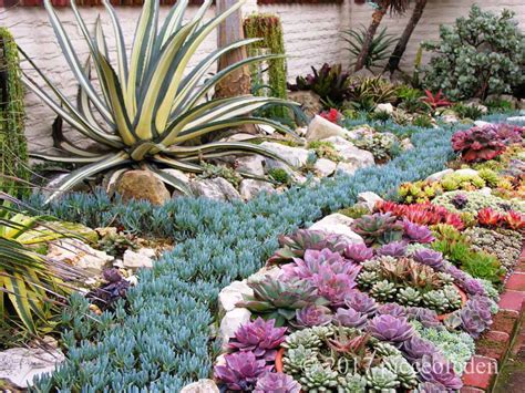 Sherman Gardens "Coral Reef" Succulent Bed