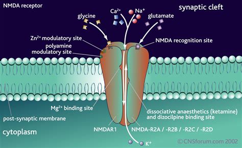 Introduction to Ketamine — National Pain Centers®