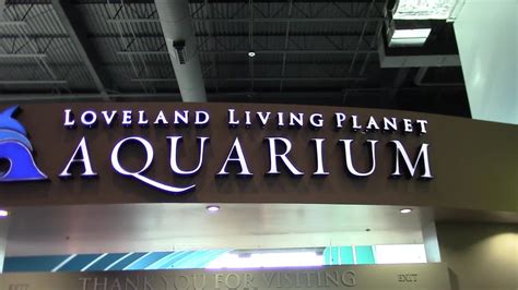 Aquarium Visit, Salt Lake City, Utah; January 2015 - YouTube