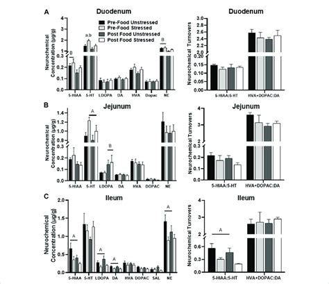 Monoamine-related neurochemical changes in the small intestines 48 h... | Download Scientific ...