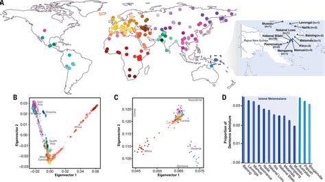 Excavating Neandertal and Denisovan DNA from the genomes of Melanesian ...