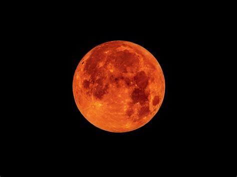 Watching the Super Blood Wolf Moon? What to Know About This Lunar ...