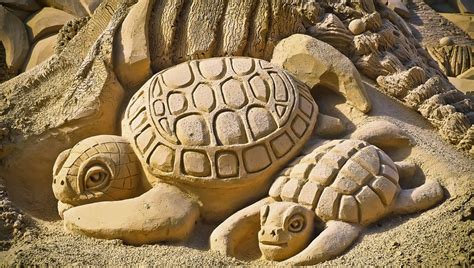 Para celebrar a las tortugas marinas celebrarán concurso de esculturas en la arena