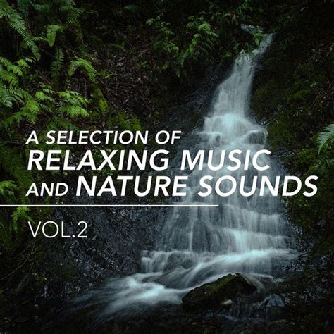 A Selection of Relaxing Music and Nature Sounds, Vol. 2 | Nature Sounds ...