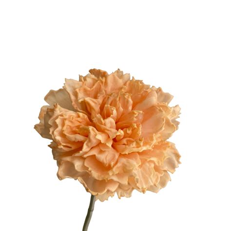 Buy Fake Carnation Flowers Online In Australia