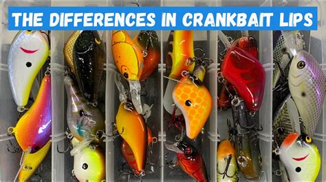 Crankbait Lips 101: How Each Lip Style Affects Lure Action - YouTube