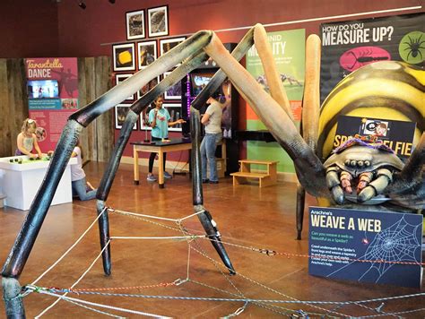 New Brookfield Zoo Exhibit Highlights ‘Amazing Arachnids’ | Chicago News | WTTW