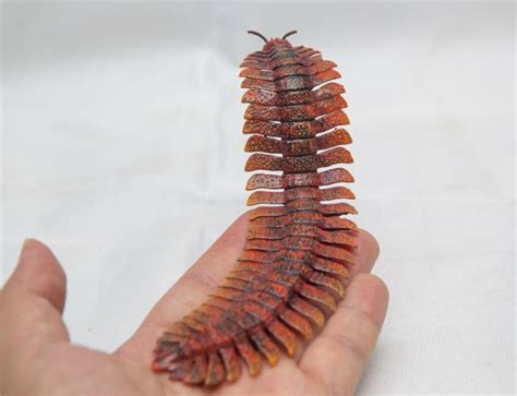 Arthropleura Model – Lana Time Shop